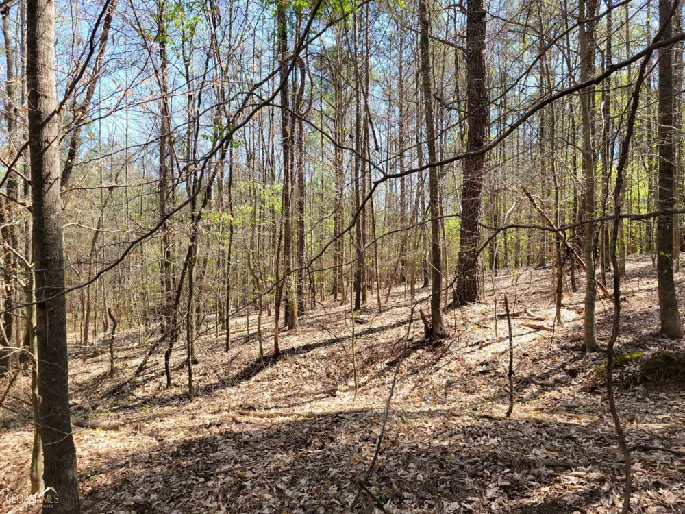 0 Sand Pit RD Summerville, GA 30747