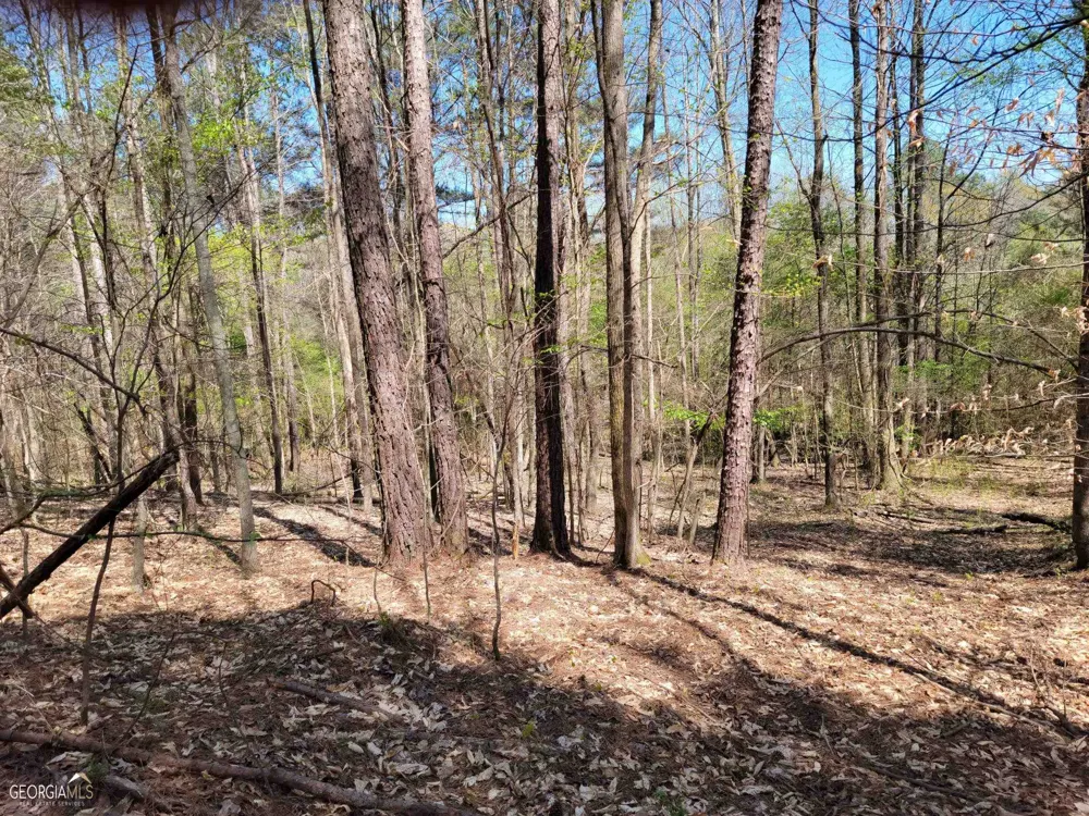 0 Sand Pit RD Summerville, GA 30747