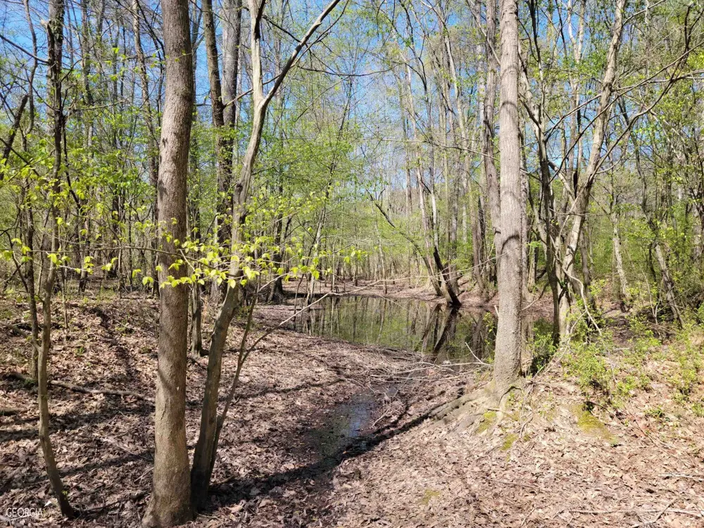 0 Sand Pit RD Summerville, GA 30747