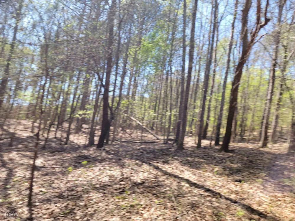 0 Sand Pit RD Summerville, GA 30747