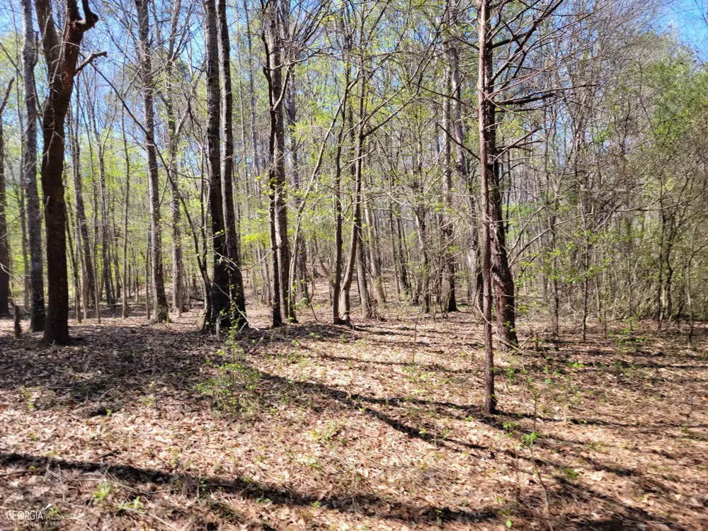 0 Sand Pit RD Summerville, GA 30747