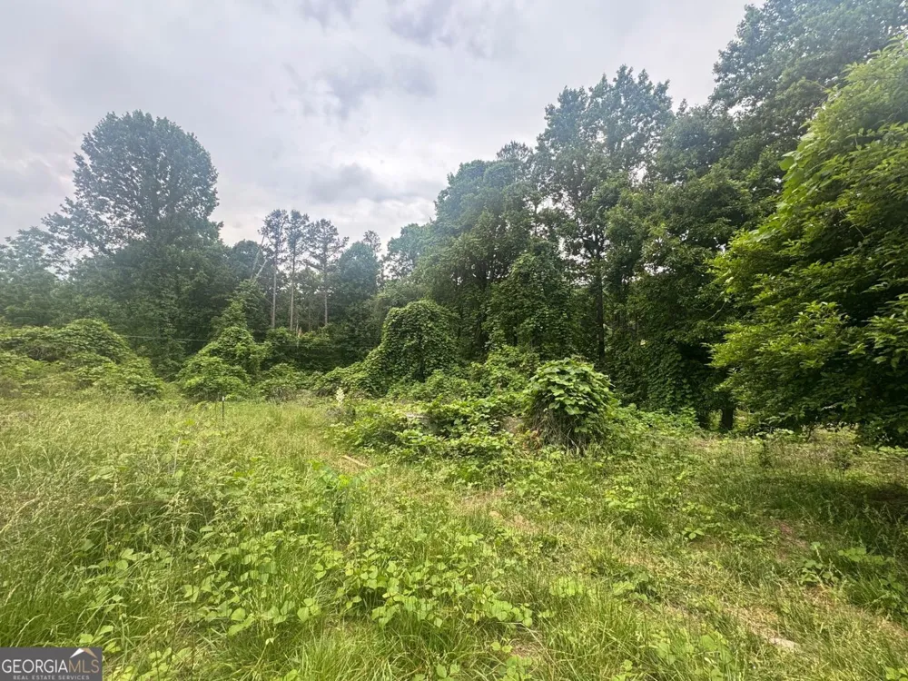 1460 Sam Nelson RD Canton, GA 30114