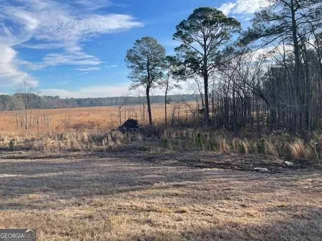 0 Hwy 301 S Register, GA 30452