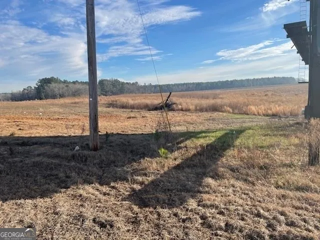 0 Hwy 301 S Register, GA 30452