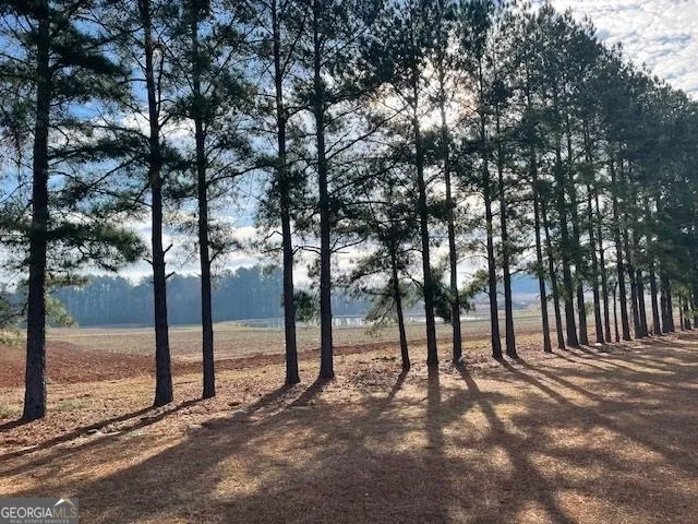 0 Hwy 301 S Register, GA 30452