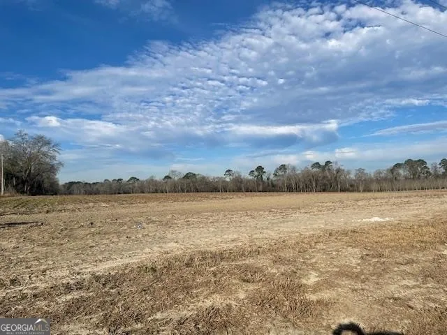 0 S Hwy 301 Register, GA 30452