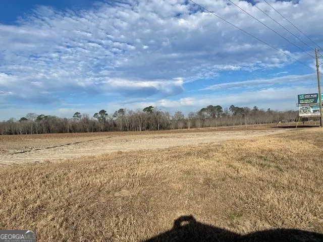 0 S Hwy 301 Register, GA 30452