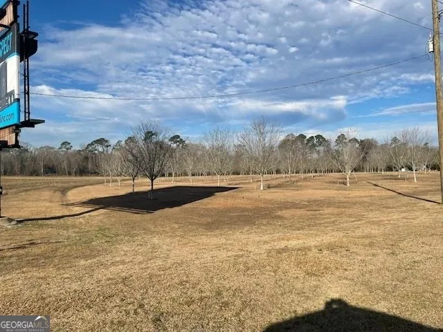 0 S Hwy 301 Register, GA 30452