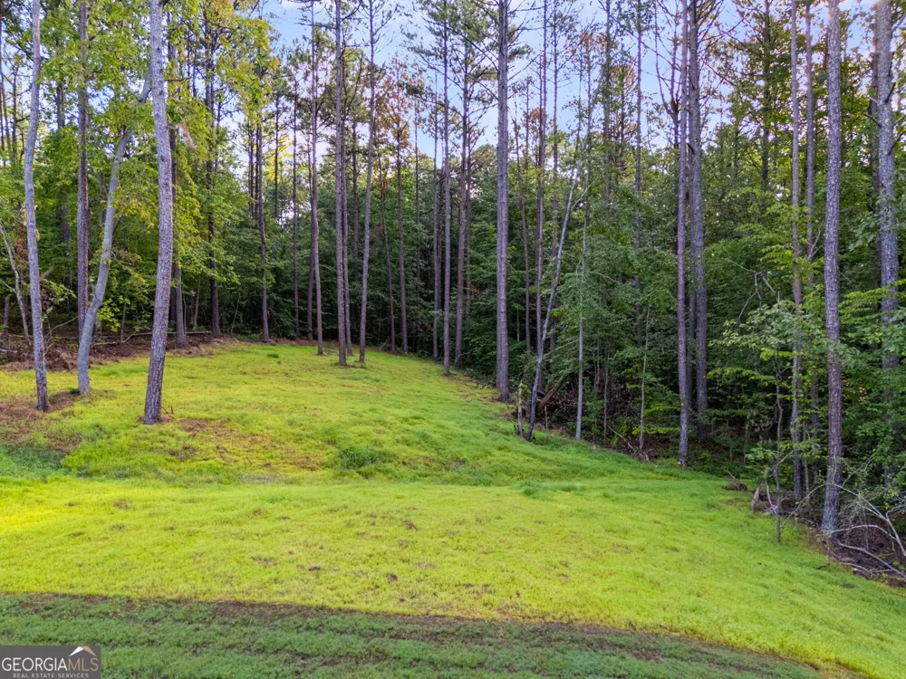 64 Liberty Station DR Bremen, GA 30110