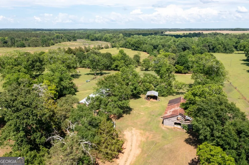 780 Jenkins RD Blakely, GA 39823