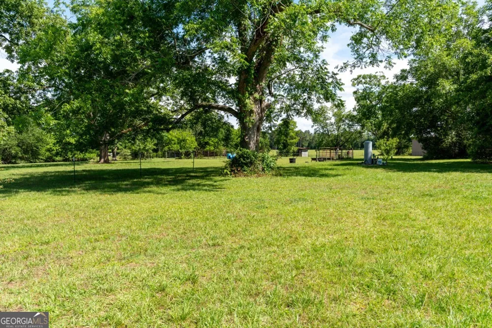 780 Jenkins RD Blakely, GA 39823