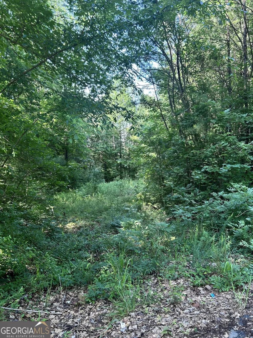 36 Lake Top DR SE Cartersville, GA 30121