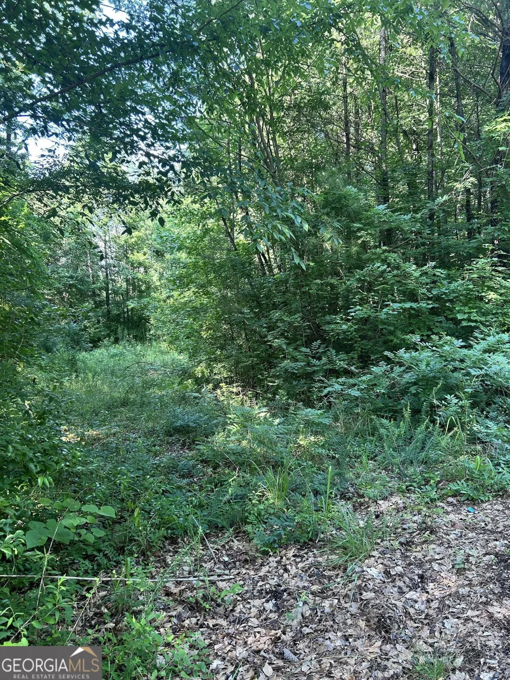 36 Lake Top DR SE Cartersville, GA 30121