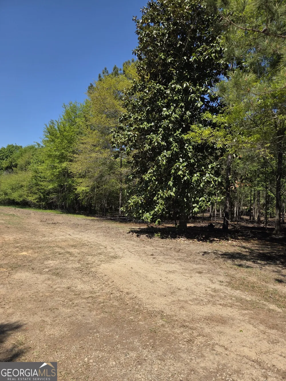 0 Mt Carmel Senoia, GA 30276