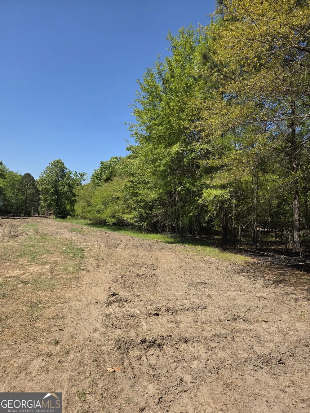 0 Mt Carmel Senoia, GA 30276