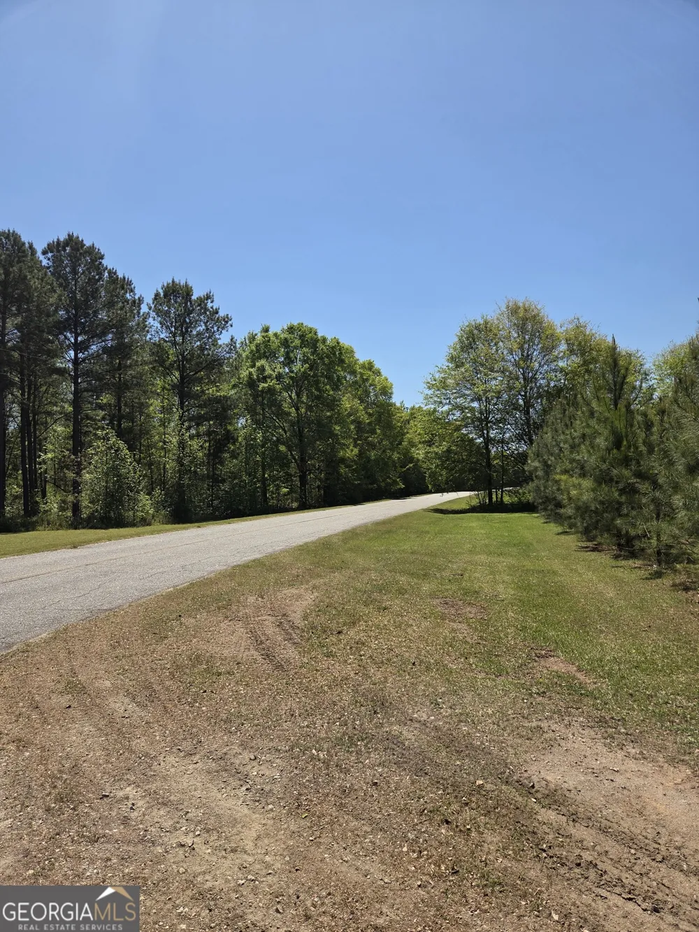 0 Mt Carmel Senoia, GA 30276