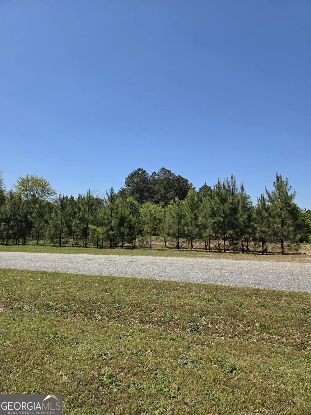 0 Mt Carmel Senoia, GA 30276