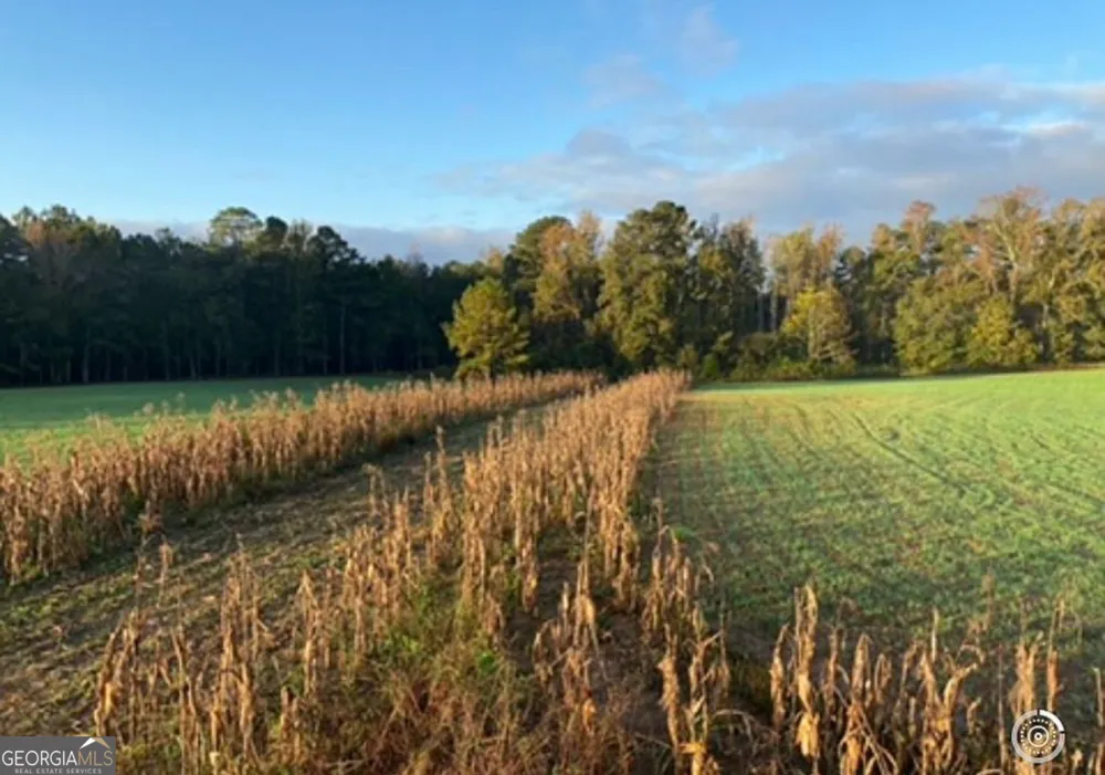 0 Mt Carmel Senoia, GA 30276