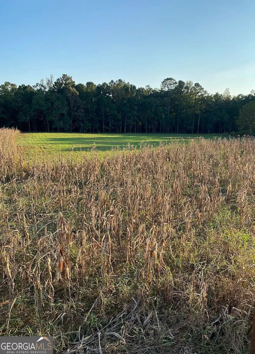 0 Mt Carmel Senoia, GA 30276