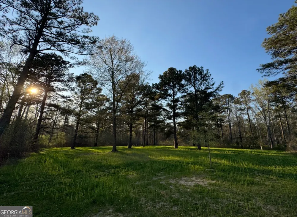 0 Mt Carmel Senoia, GA 30276