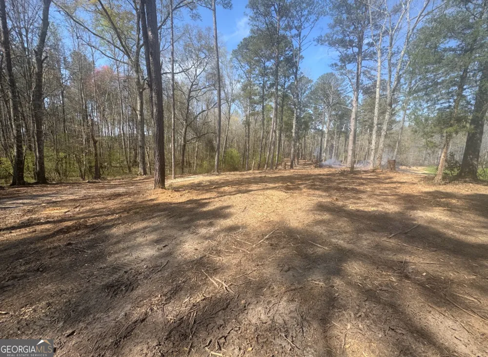 0 Mt Carmel Senoia, GA 30276