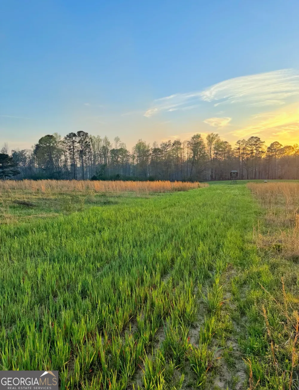 0 Mt Carmel Senoia, GA 30276