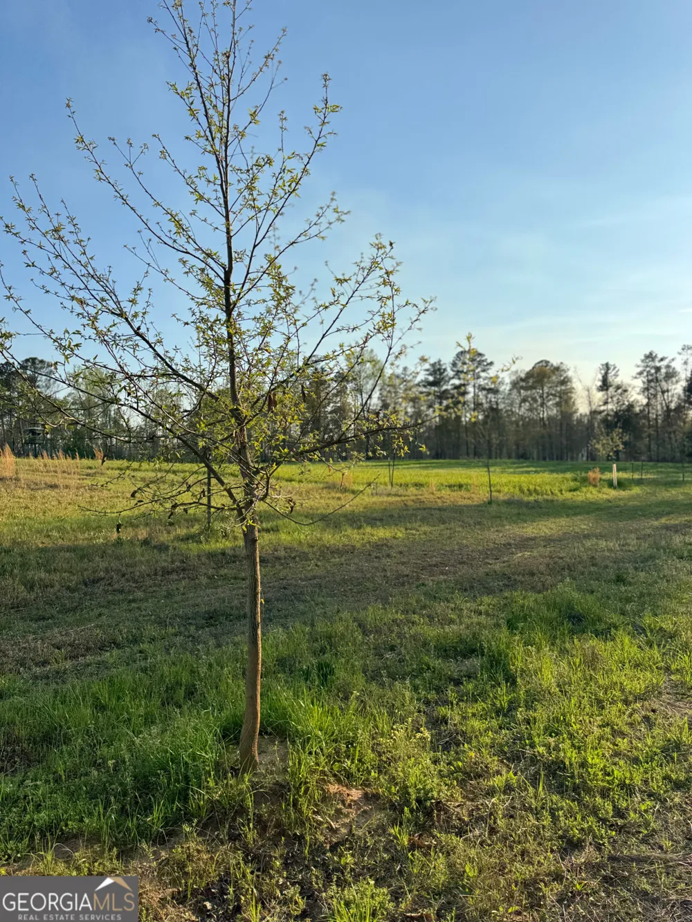 0 Mt Carmel Senoia, GA 30276