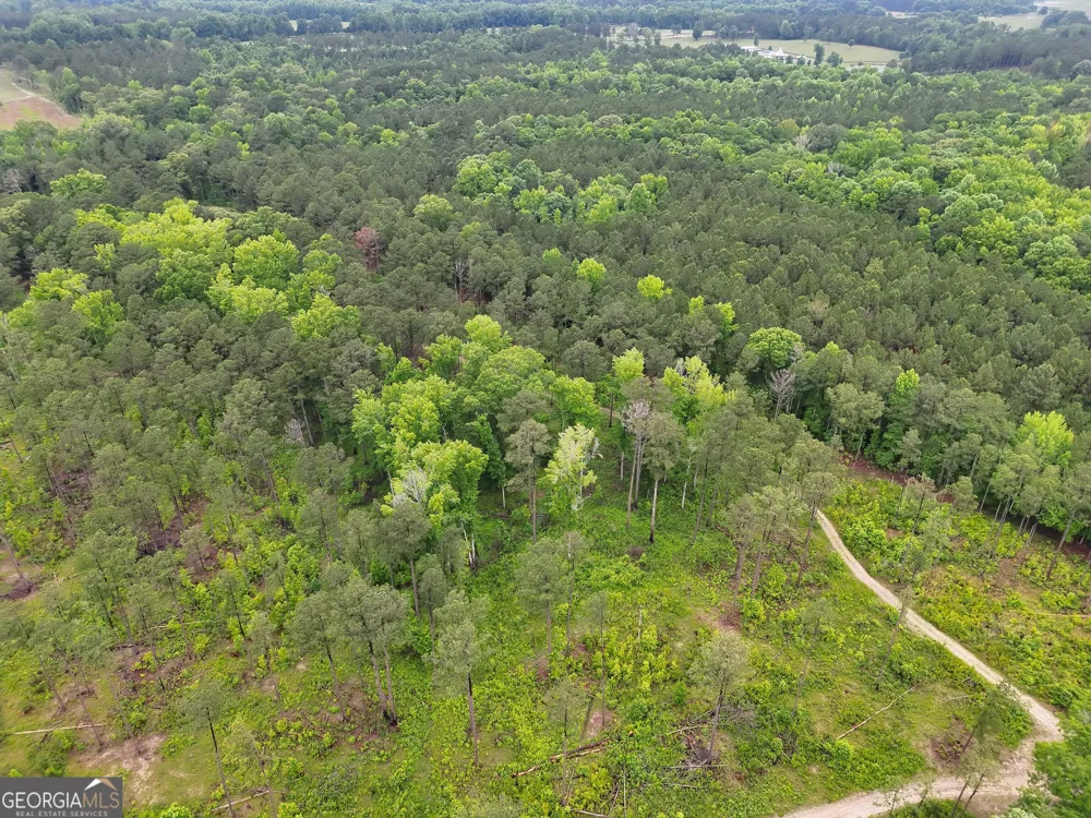 0 Mt Carmel Senoia, GA 30276