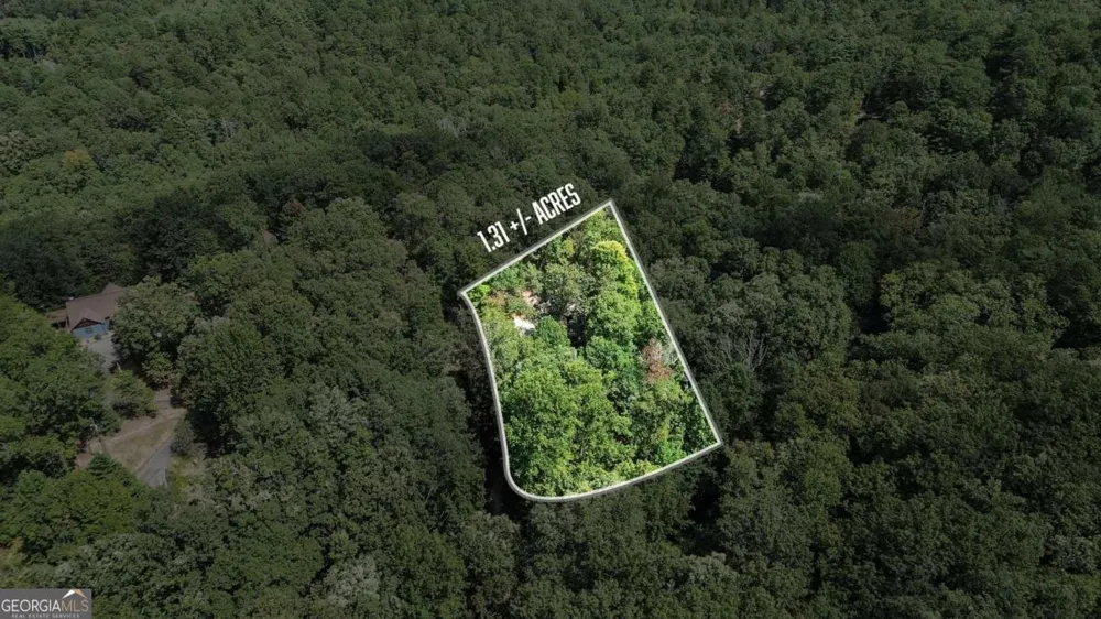 224 Dragon Tree LN Lakemont, GA 30552
