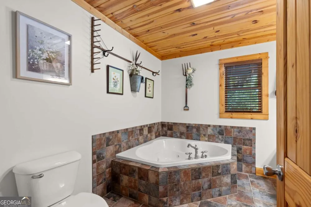 224 Dragon Tree LN Lakemont, GA 30552