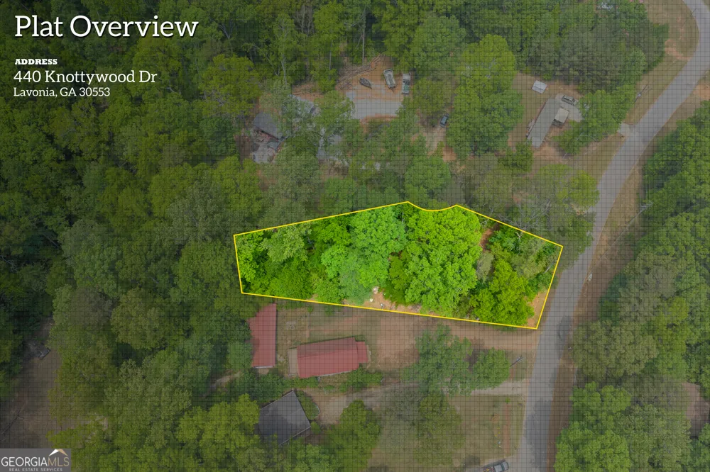 440 Knottywood DR Lavonia, GA 30553