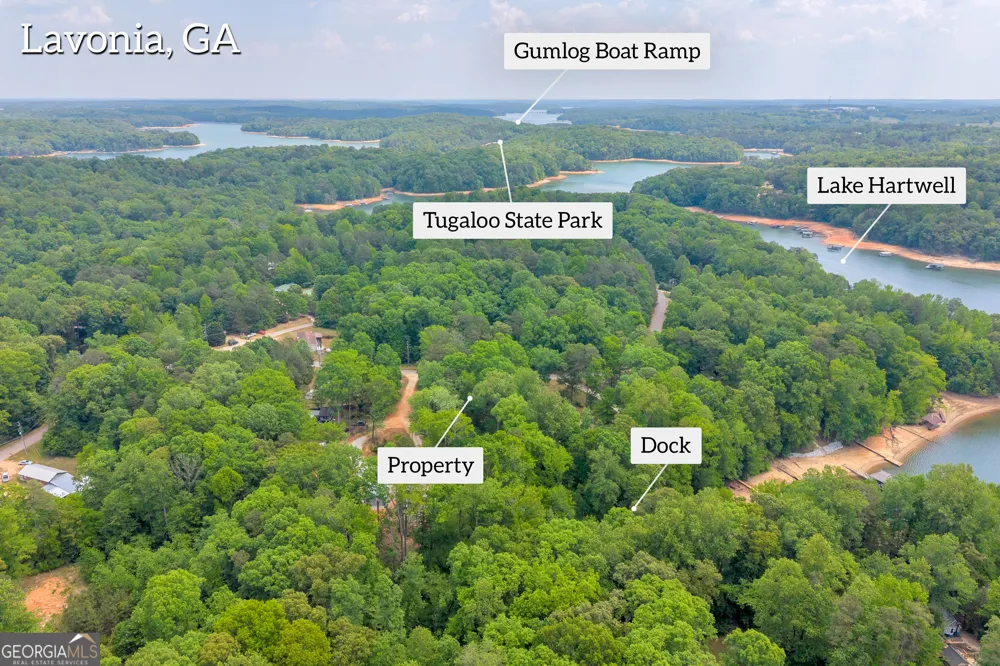 440 Knottywood DR Lavonia, GA 30553