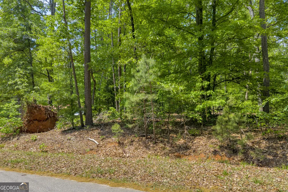 440 Knottywood DR Lavonia, GA 30553