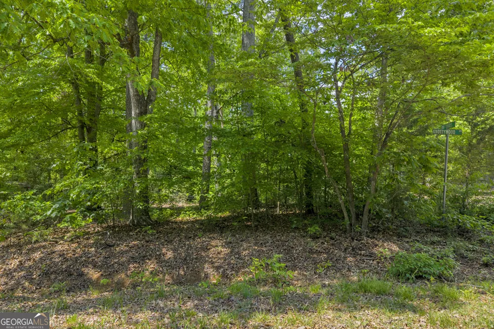 440 Knottywood DR Lavonia, GA 30553