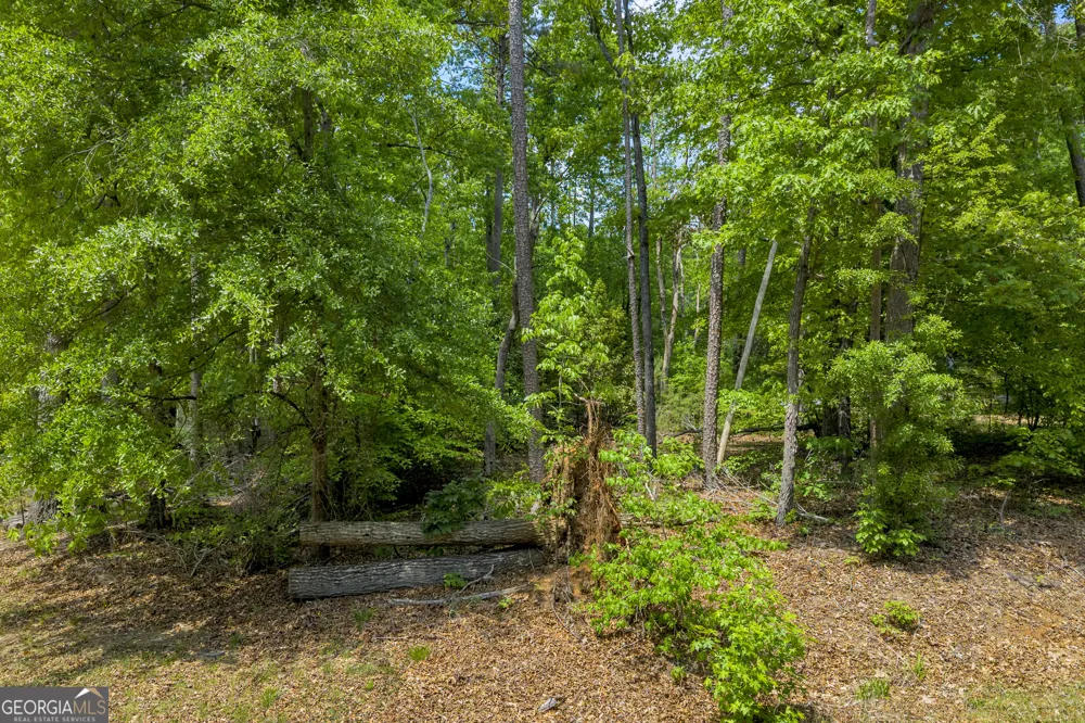 440 Knottywood DR Lavonia, GA 30553