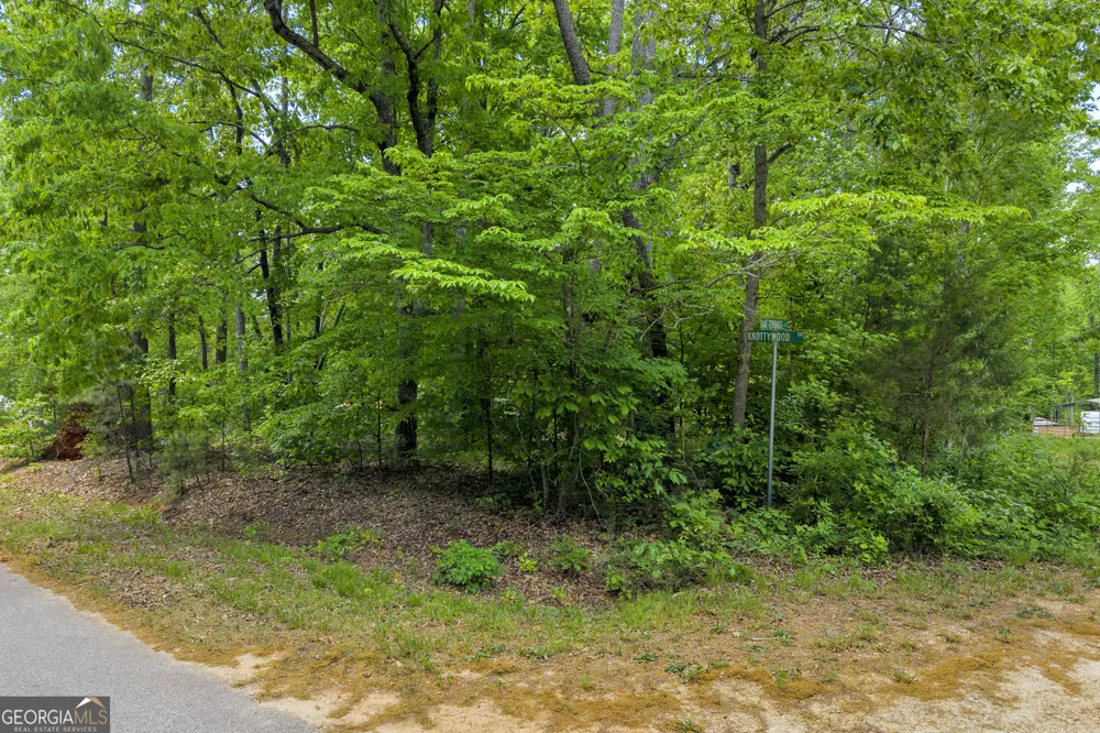 440 Knottywood DR Lavonia, GA 30553