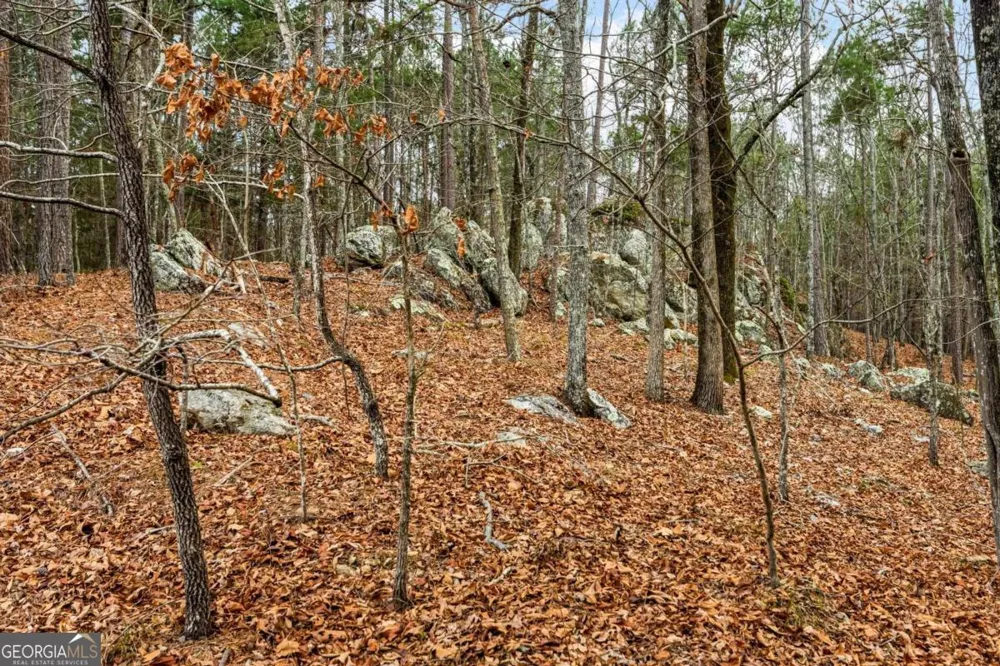 251 Winding River RD Eatonton, GA 31024