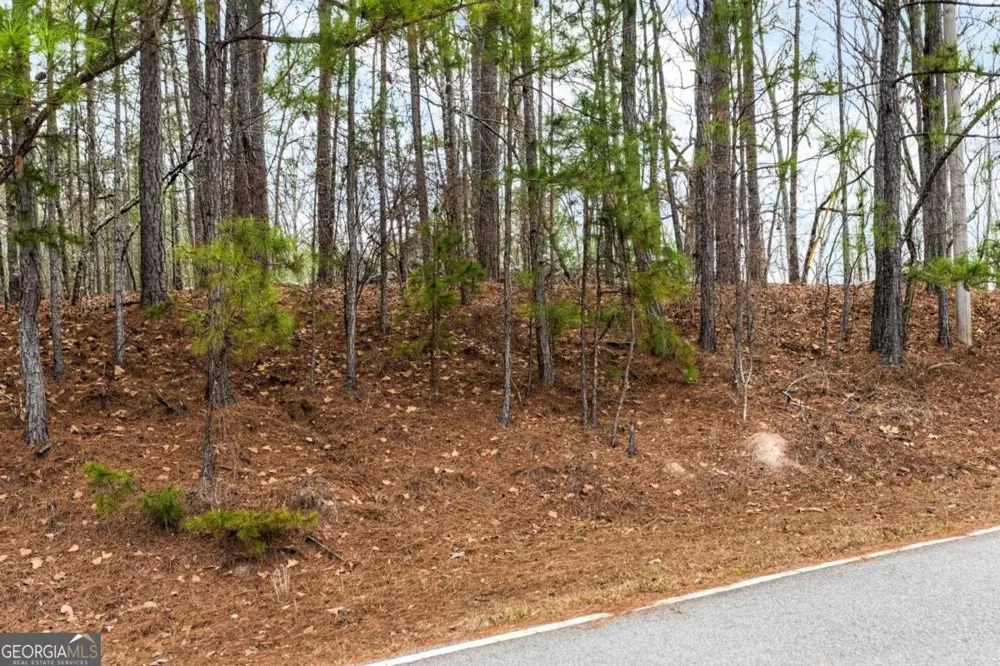 251 Winding River RD Eatonton, GA 31024