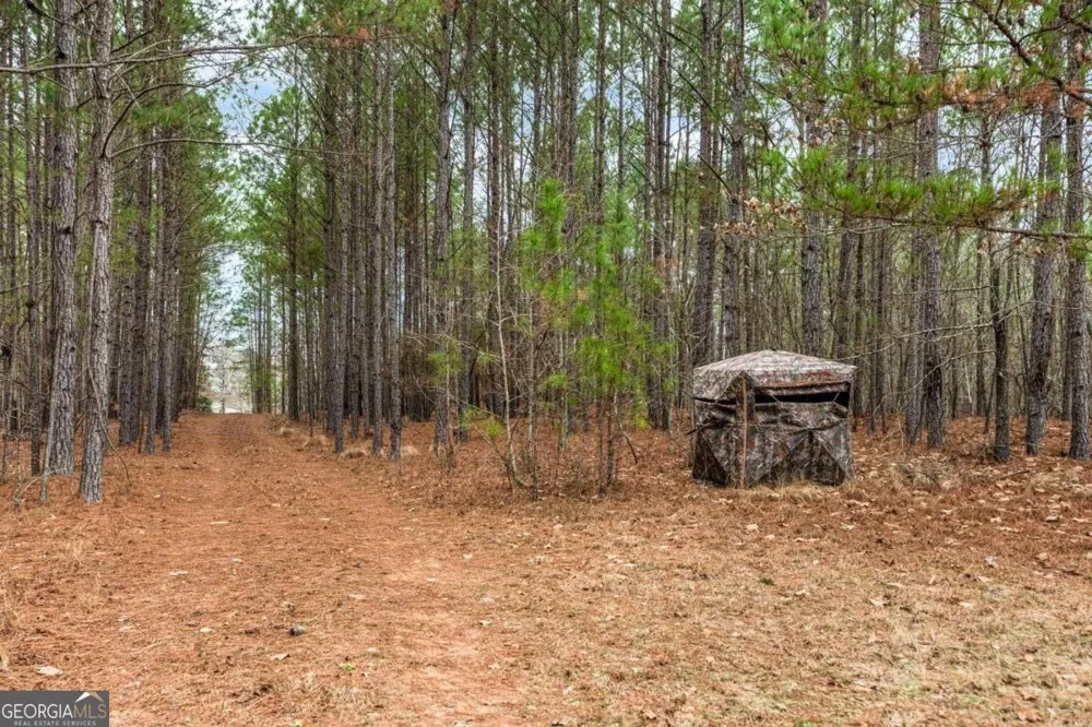 251 Winding River RD Eatonton, GA 31024