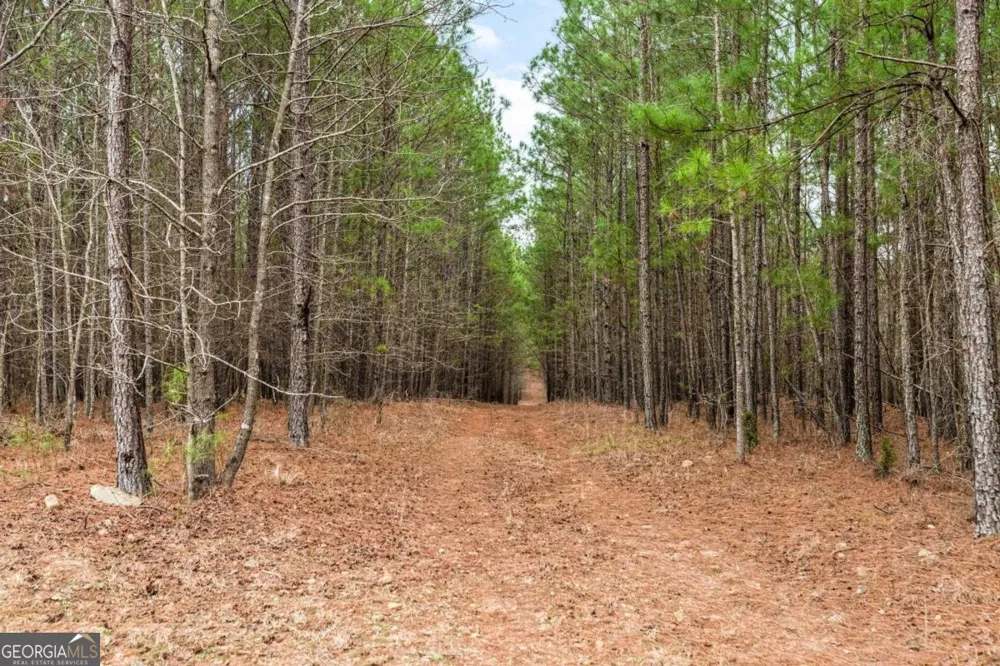 251 Winding River RD Eatonton, GA 31024