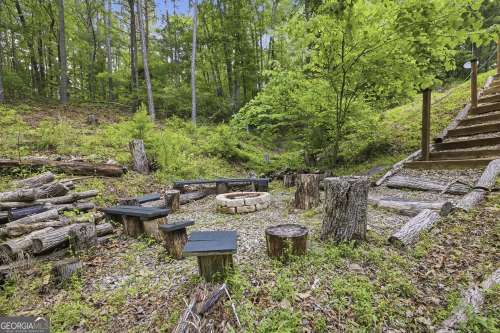 85 Hunter DR Talking Rock, GA 30175