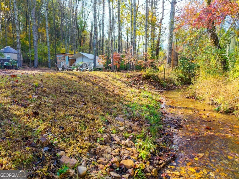 106 Settawig RD Brasstown, NC 28902