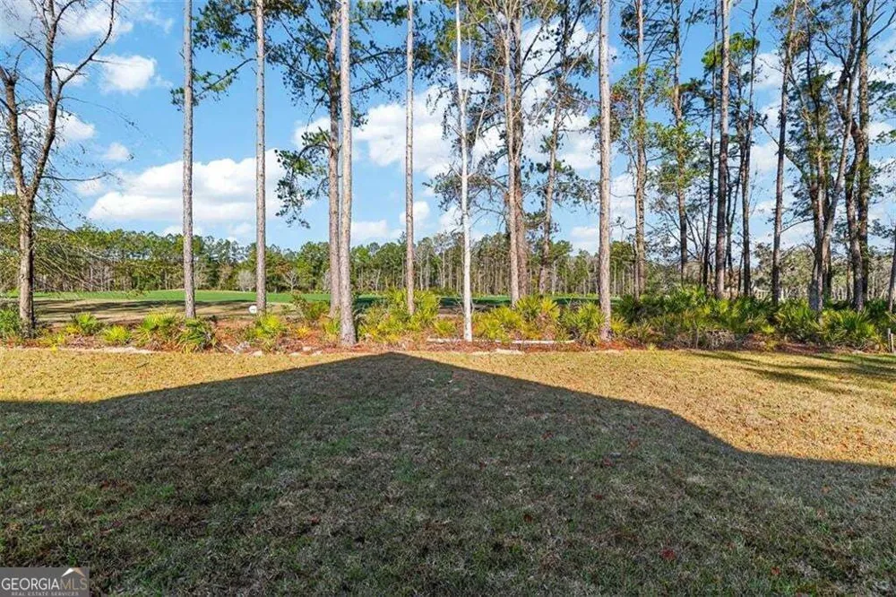 39 Oak Grove CT Waverly, GA 31565