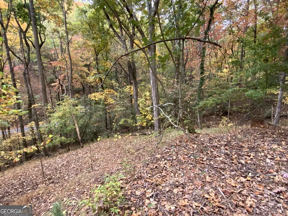 224 Magnolia DR Sautee Nacoochee, GA 30571
