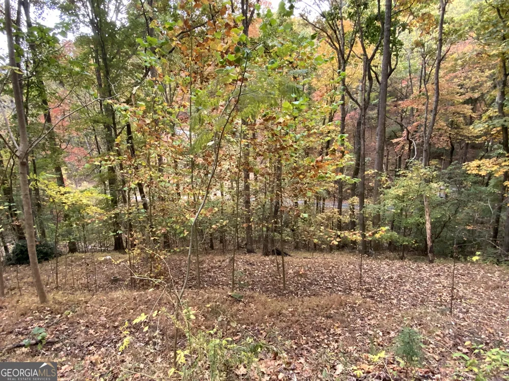 224 Magnolia DR Sautee Nacoochee, GA 30571