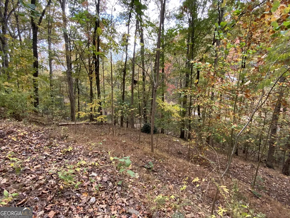 224 Magnolia DR Sautee Nacoochee, GA 30571