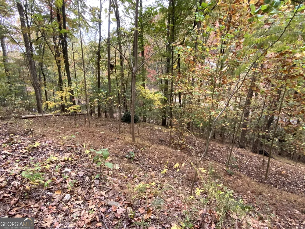 224 Magnolia DR Sautee Nacoochee, GA 30571