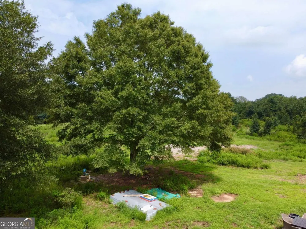 2536 Brindle Farmer RD Good Hope, GA 30641