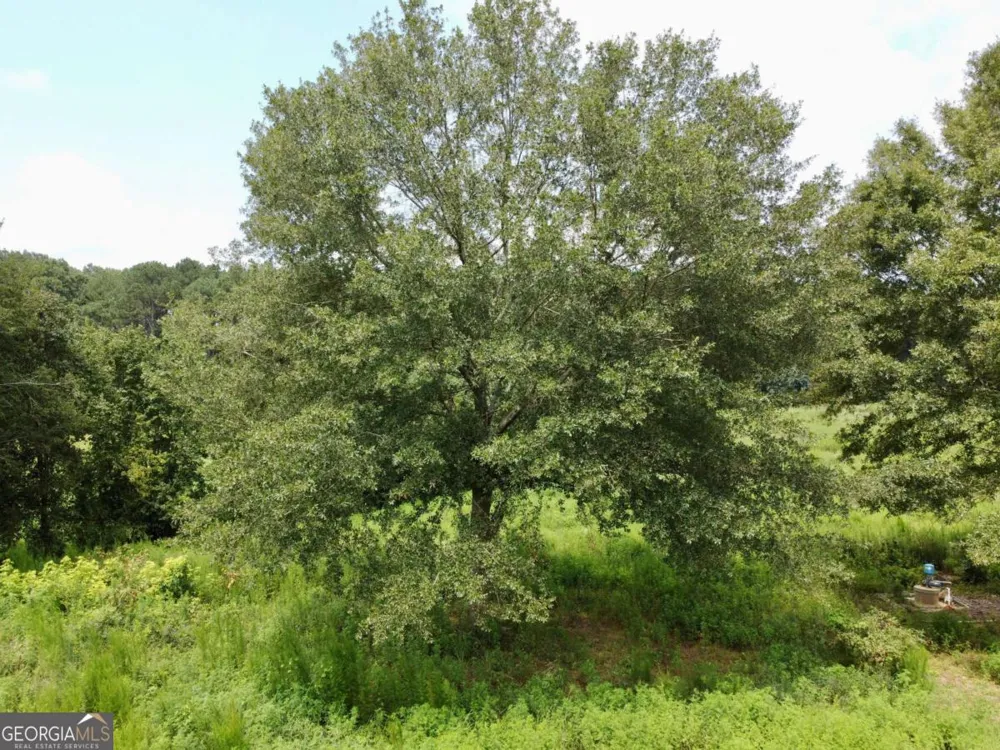 2536 Brindle Farmer RD Good Hope, GA 30641