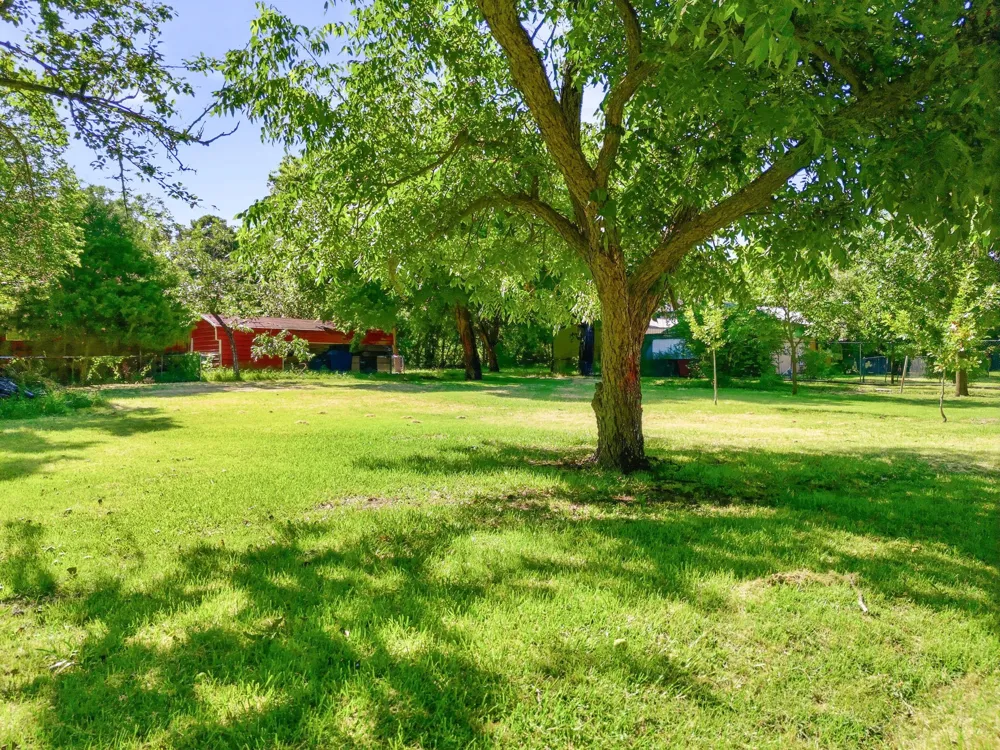 917 Mcclain Street Princeton, TX 75407